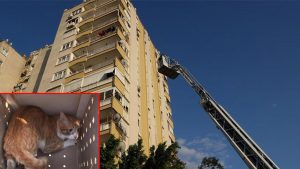 12’nci kattan 11’inci kata düşen 'Miço’ itfaiye tarafından kurtarıldı