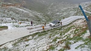 Araziye bitki toplamaya gittikleri yerde mahsur kalan grubu güvenlik korucuları kurtardı