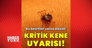 Kritik kene uyarısı! Bu belirtiler varsa dikkat!