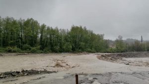 Sinop'ta sağanak yağış sonrası dere taştı