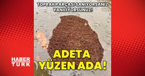 Toprak parçası sanıyorsanız yanılıyorsunuz! Adeta yüzen ada...